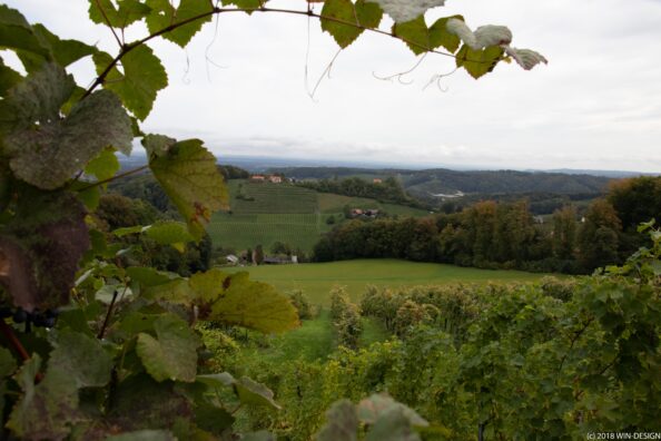 Fotoworkshop Steirische Toskana im Herbst